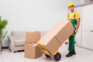 Moving Assistance Company Near Me